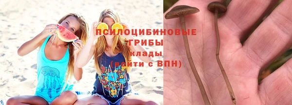первитин Богородск