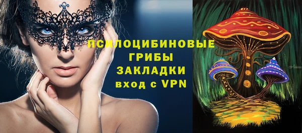 первитин Богородск