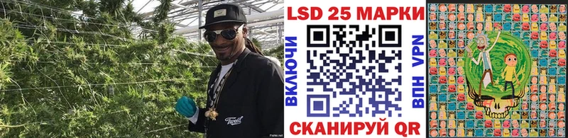 площадка официальный сайт Наро-Фоминск Марки 25I-NBOMe 1500мкг